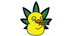duckside cannabis cafe franchise