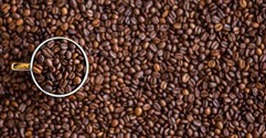 How to Run a Coffee Shop in Australia 