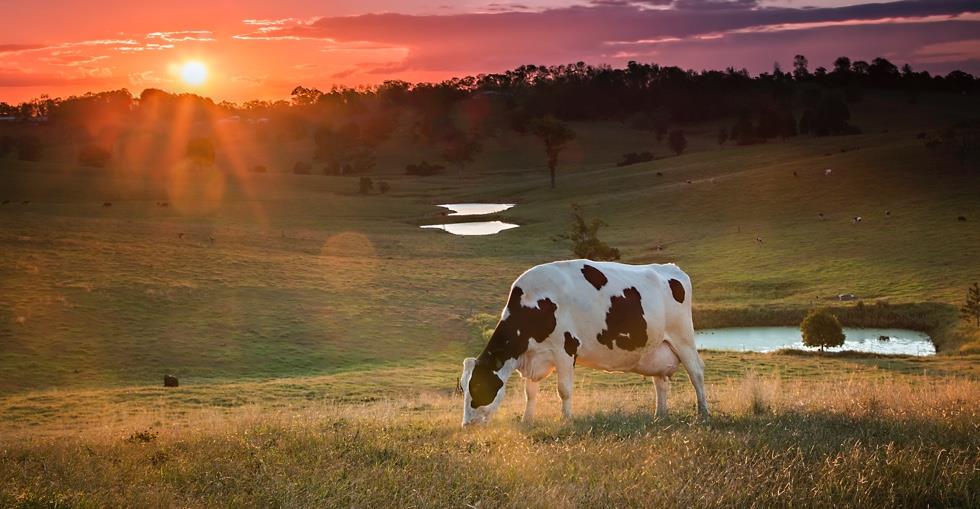 How To Sell Your Farm