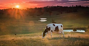 How to Sell Your Farm
