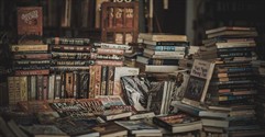 Sector Spotlight: Bookstores