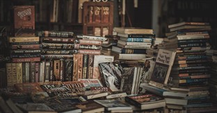 Sector Spotlight: Bookstores