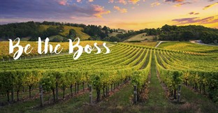 The Family Vineyard