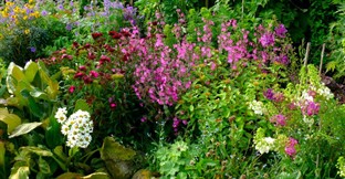 How to Run a Garden Centre