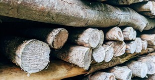 How to Run a Sawmill Business in Australia 