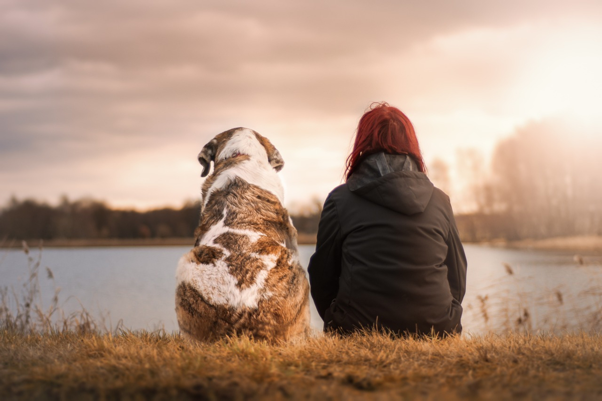 Pet care