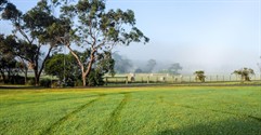Everything You Need to Know About Buying a Jim's Mowing Franchise in Australia