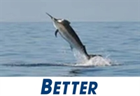 the best fishing tackle - 1