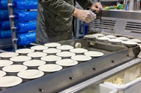 brisbane food manufacturing business - 3