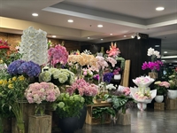 established flower shop - 1