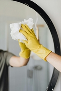 automated online cleaning business - 2