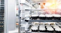 established wholesale gluten-free bakery - 1