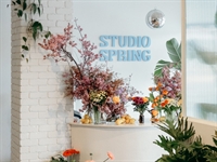 grow your own studio - 1