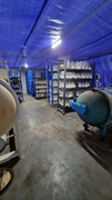 premium functional mushroom business - 3