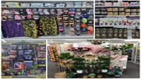 2 discount variety stores - 1