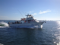 westernport fishing charters is - 1