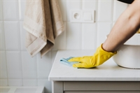 automated online cleaning business - 1