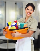 exclusive cleaning business - 1