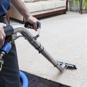 exceptional carpet cleaning pest - 2