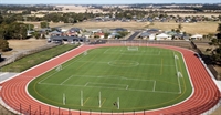 niche market sports product - 3