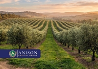 olive grove lease-to-purchase bagshot - 1