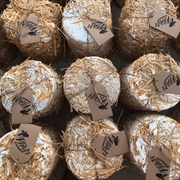 gourmet urban mushroom farm - 1