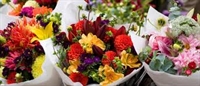 florist for sale bl-0930 - 1