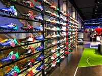 leading sporting goods franchise - 1