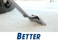 exceptional carpet cleaning pest - 1