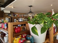 acclaimed japanese cafe restaurant - 1