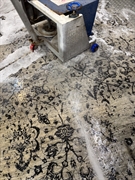 rug cleaning business sydney - 1