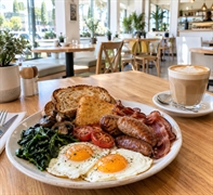 daytime café t o - 1