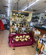 established profitable newsagency prime - 3