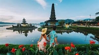travel comparison website similar - 1