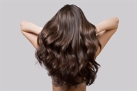 established fully staffed hair - 1