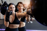 established boxing strength fitness - 1