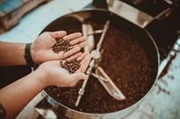 premium-boutique-coffee roaster northern nsw - 1