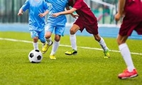 niche market sports product - 3