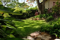 garden lawn property maintenance - 1