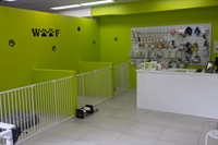 premium dog grooming daycare - 1