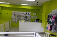 premium dog grooming daycare - 3