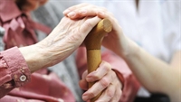 established ndis disability registered - 1