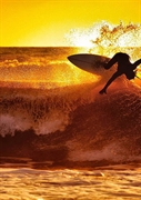 iconic byron bay surfboard - 2