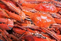 seafood distribution 3 days - 3