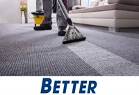 carpet cleaning pest control - 1