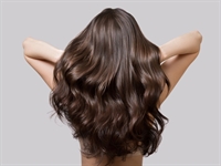 established hair salon - 1