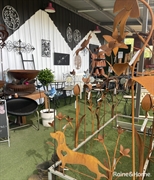 established regional lifestyle business - 2
