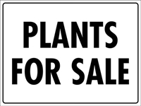 wholesale plants 45 years - 2