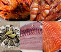 seafood distribution 3 days - 1