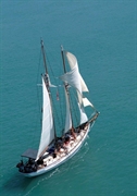 sea change profitable sailing - 3